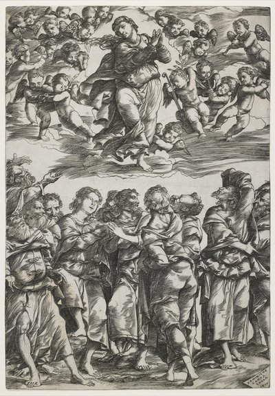 The Assumption of the Virgin, 1517 by Domenico Campagnola